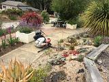 UCSC Arboretum 007